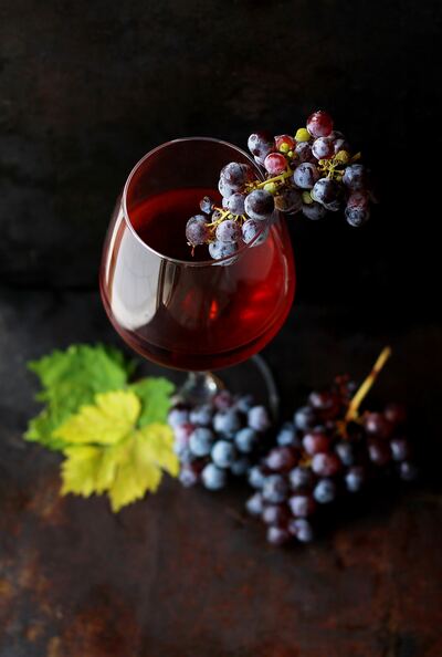grape fruits and wines